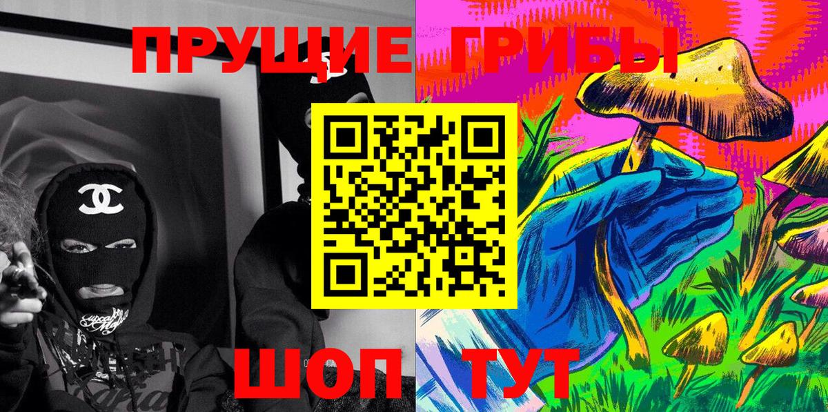 Хасавюрт  Псилоцибиновые грибы Cubensis  Вход с VPN  Псилоцибиновые грибы мухоморы 